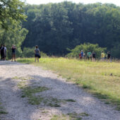  Sproing Pics (15/169)